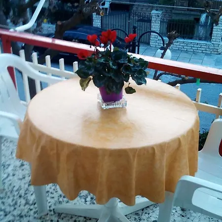 Dimitra Pentaliou 3*